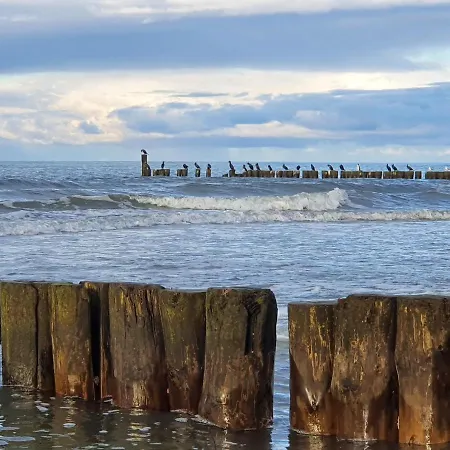 公寓 Stella Mare - 365pam