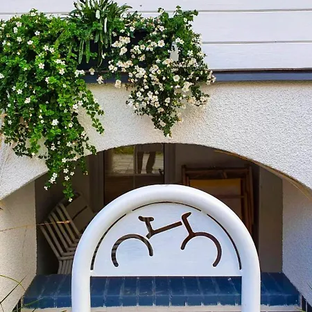 Stella Mare - 365pam