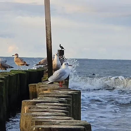 アパート Stella Mare - 365pam *