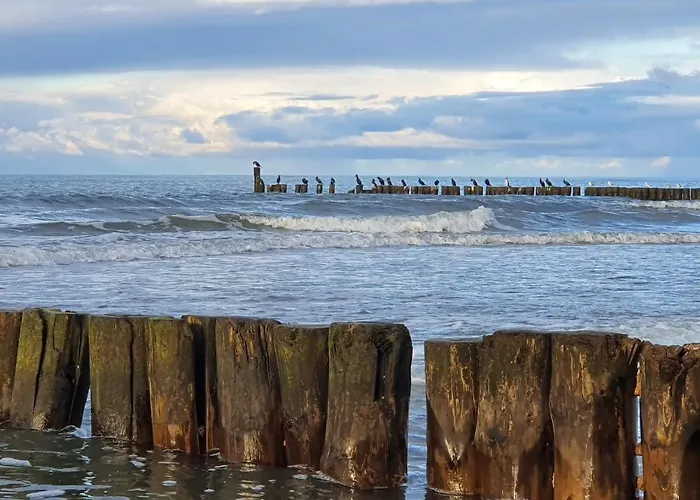 Apartman Stella Mare - 365pam