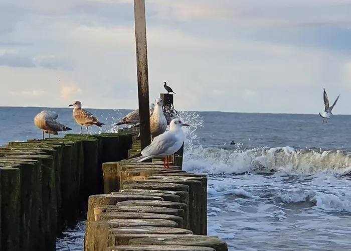 Apartman Stella Mare - 365pam *